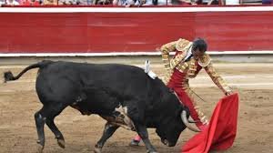 Cancelan corrida de toros programada en Madrid, Cundinamarca: organizadores citan falta de permiso oficial