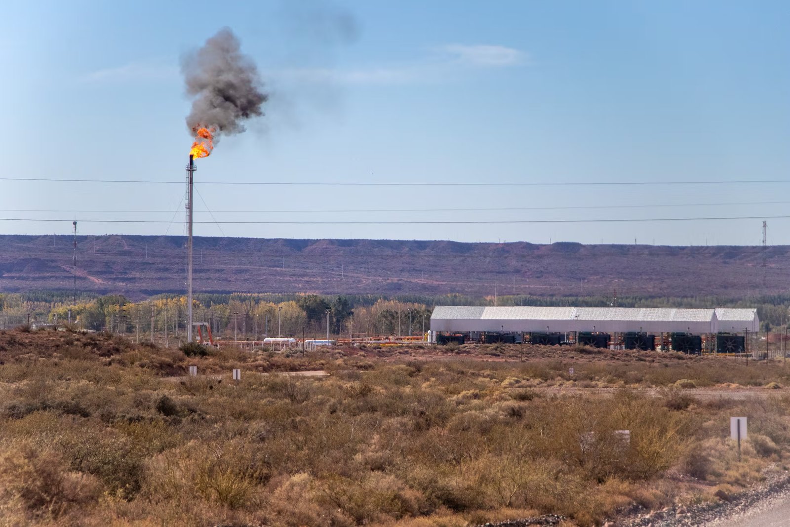 Crisis ambiental en Argentina: incendios, sequía y degradación de ecosistemas mantienen en alerta a las autoridades.
